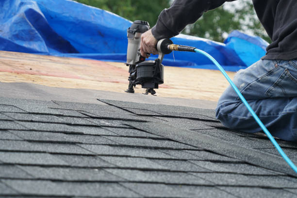 Roof Moss and Algae Removal in Bacliff, TX